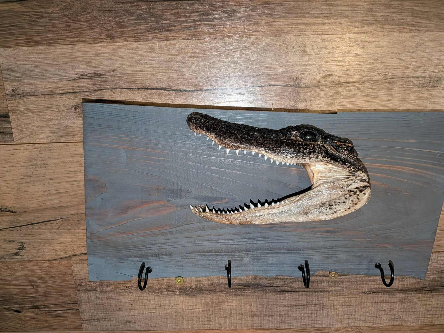 Img