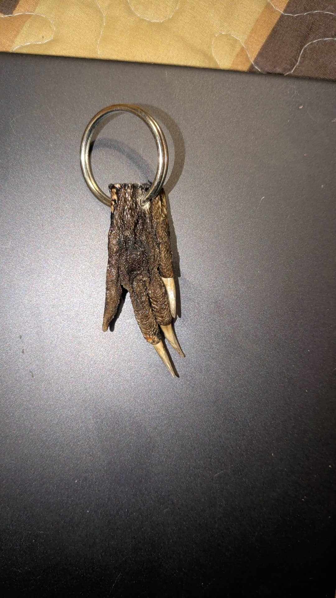 Img
