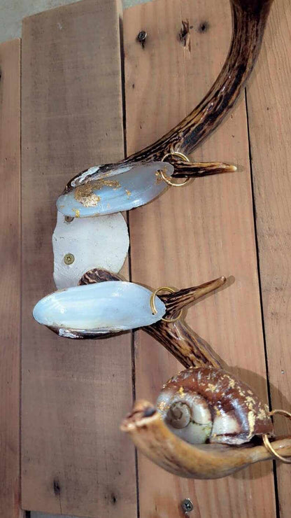 Img