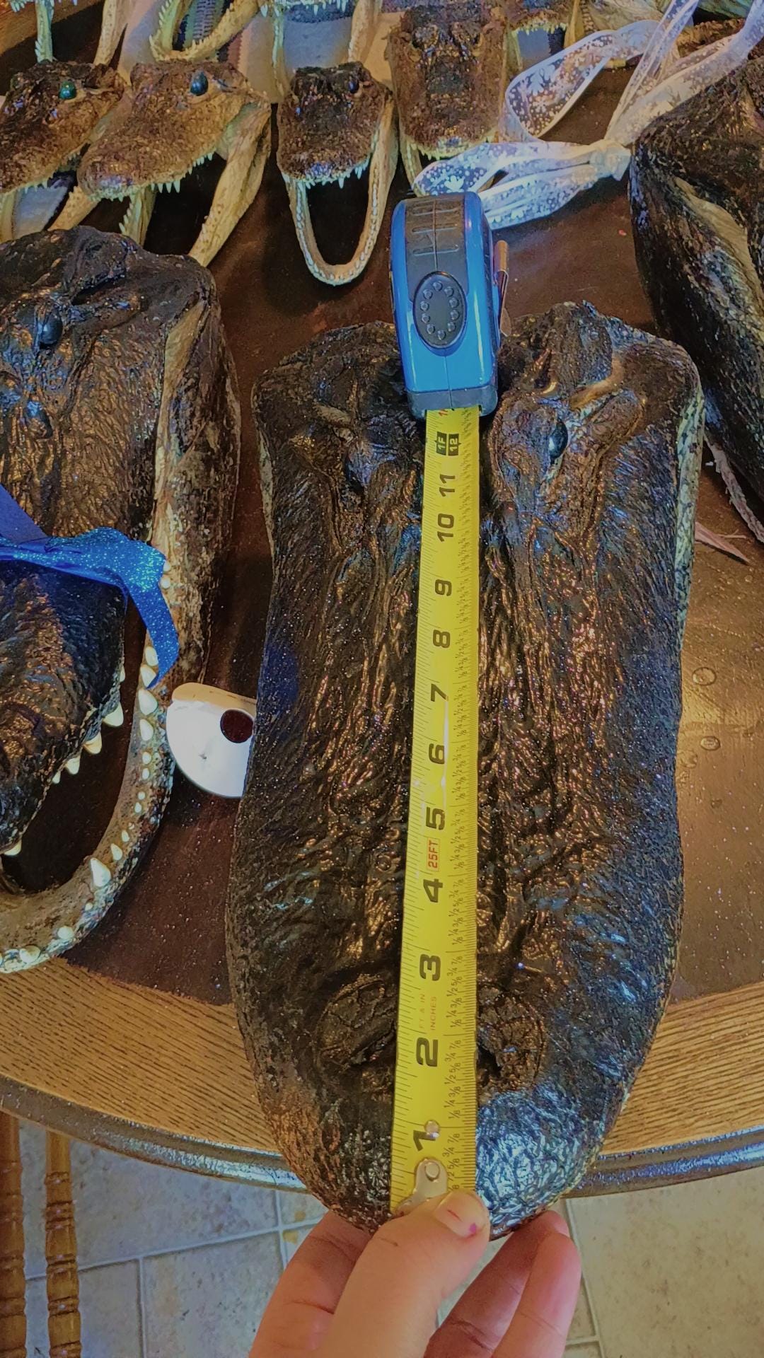 Alligator Trophy Mount | Wild Louisiana Caught 12ft Gator