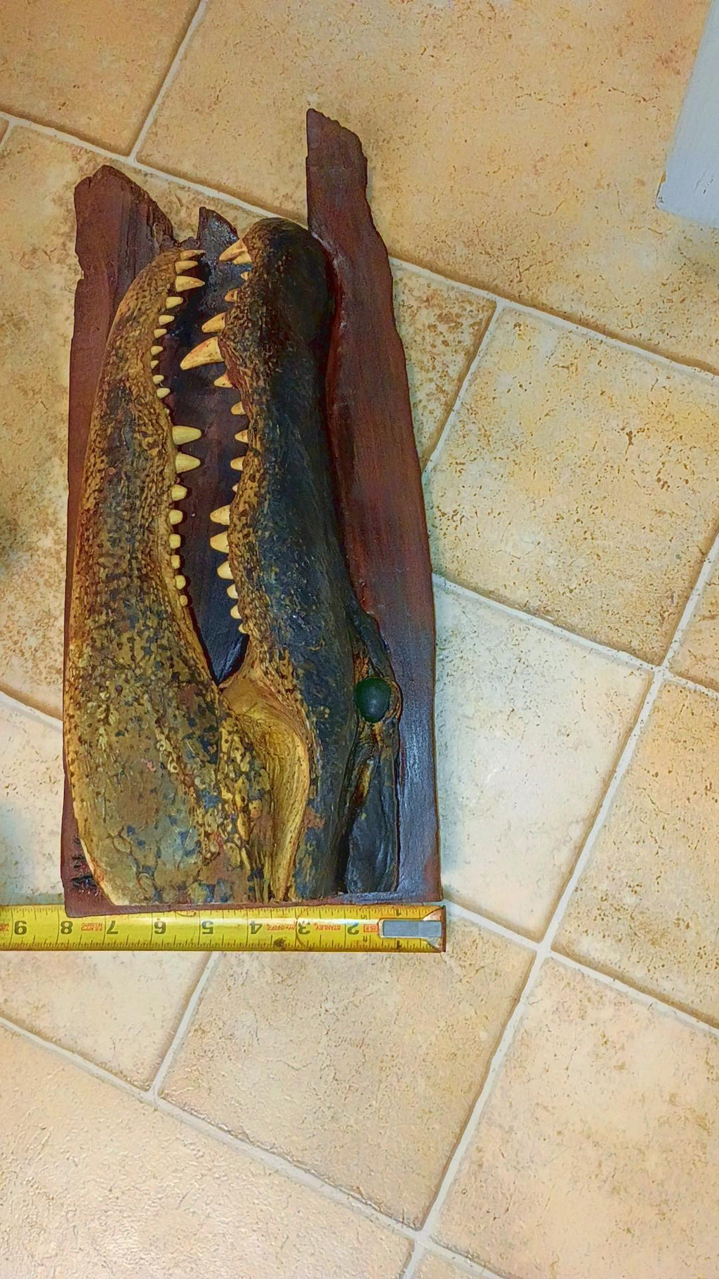 XX Large 10ft Trophy Mounted Alligator Head on Ancient Sinker Cypress-Authentic Louisiana Taxidermy Cajun Oddities Wall Decor & Man Cave Art