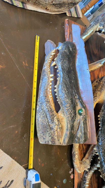 Alligator Head Taxidermy | XXL 8–12 Ft Louisiana Trophy Mount