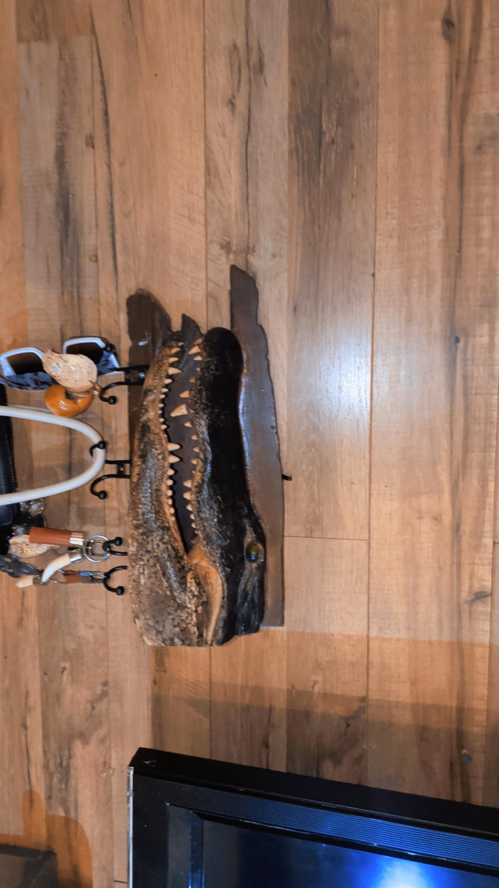 XX Large 10ft Trophy Mounted Alligator Head on Ancient Sinker Cypress-Authentic Louisiana Taxidermy Cajun Oddities Wall Decor & Man Cave Art