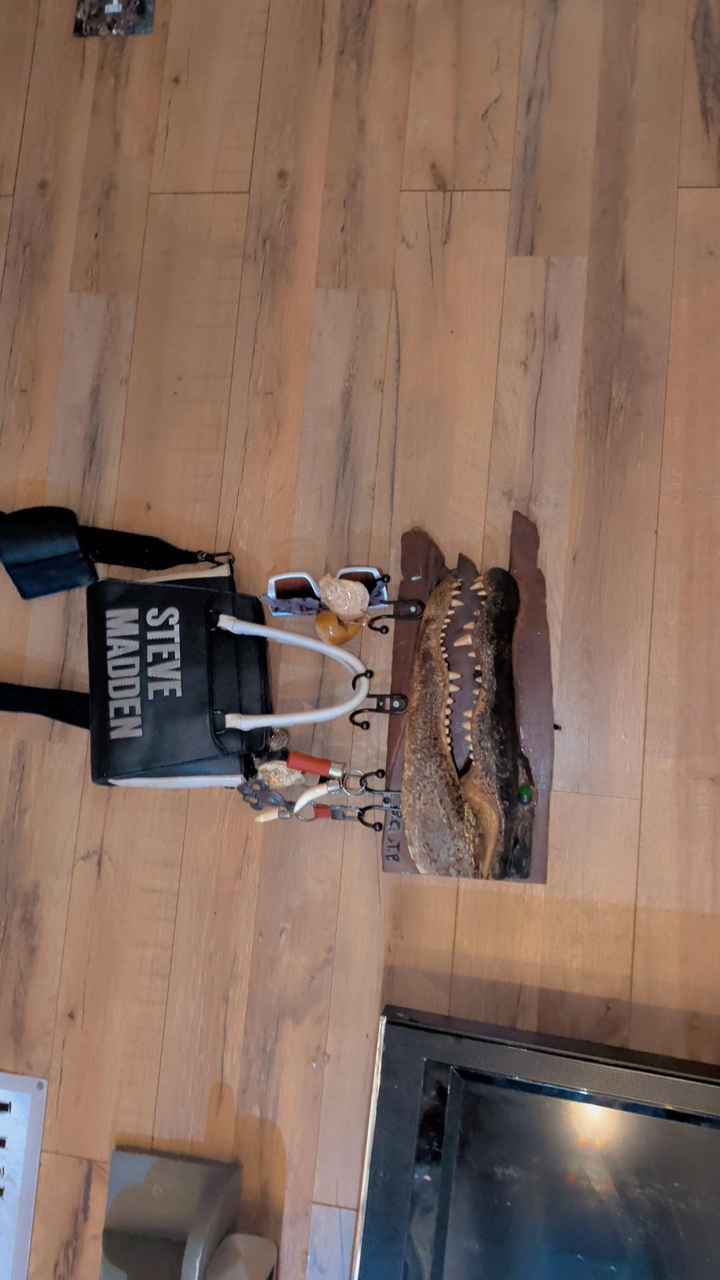 XX Large 10ft Trophy Mounted Alligator Head on Ancient Sinker Cypress-Authentic Louisiana Taxidermy Cajun Oddities Wall Decor & Man Cave Art