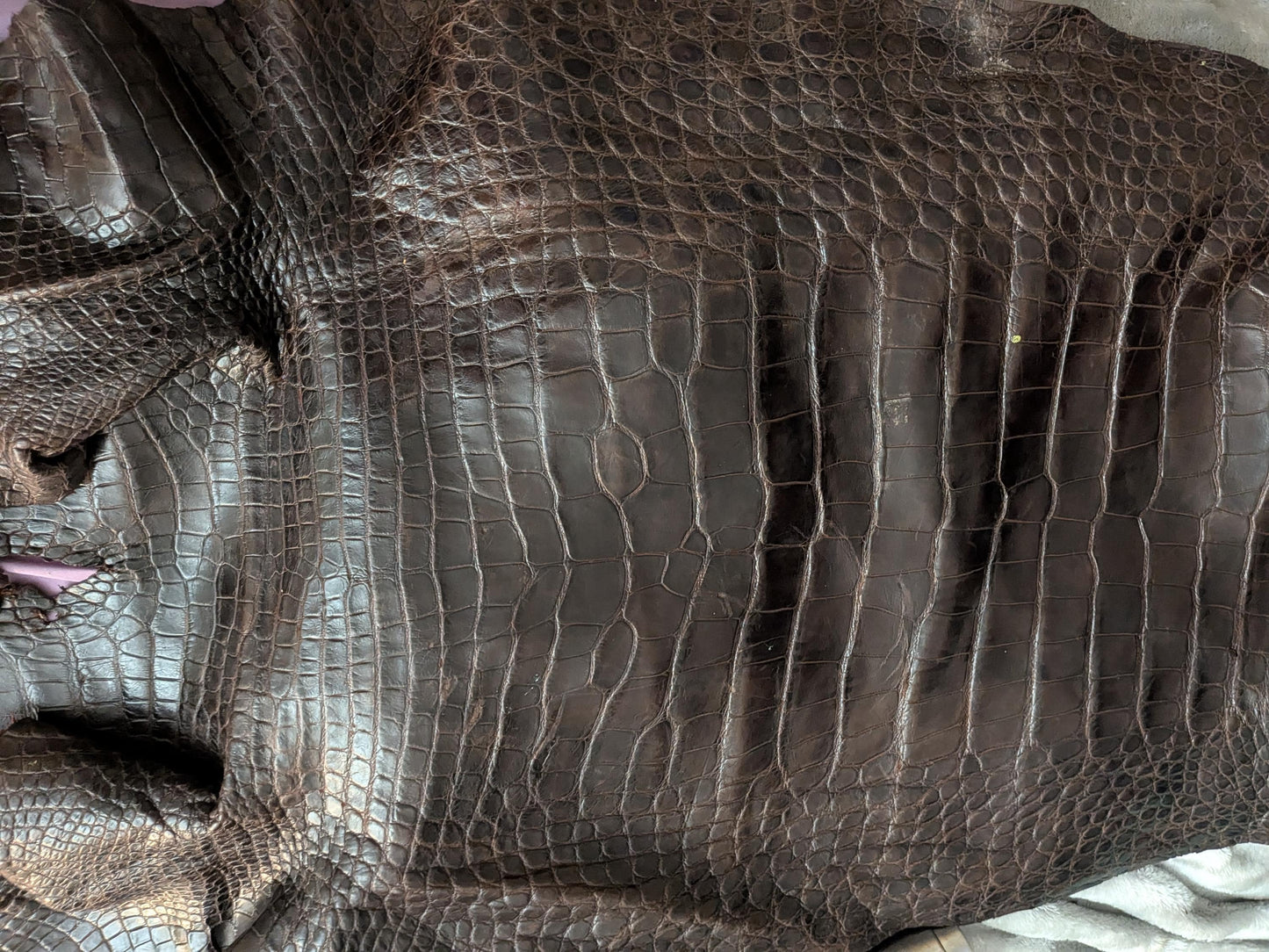 Louisiana Alligator Leather Wallet | Handmade Unisex Exotic Wallet