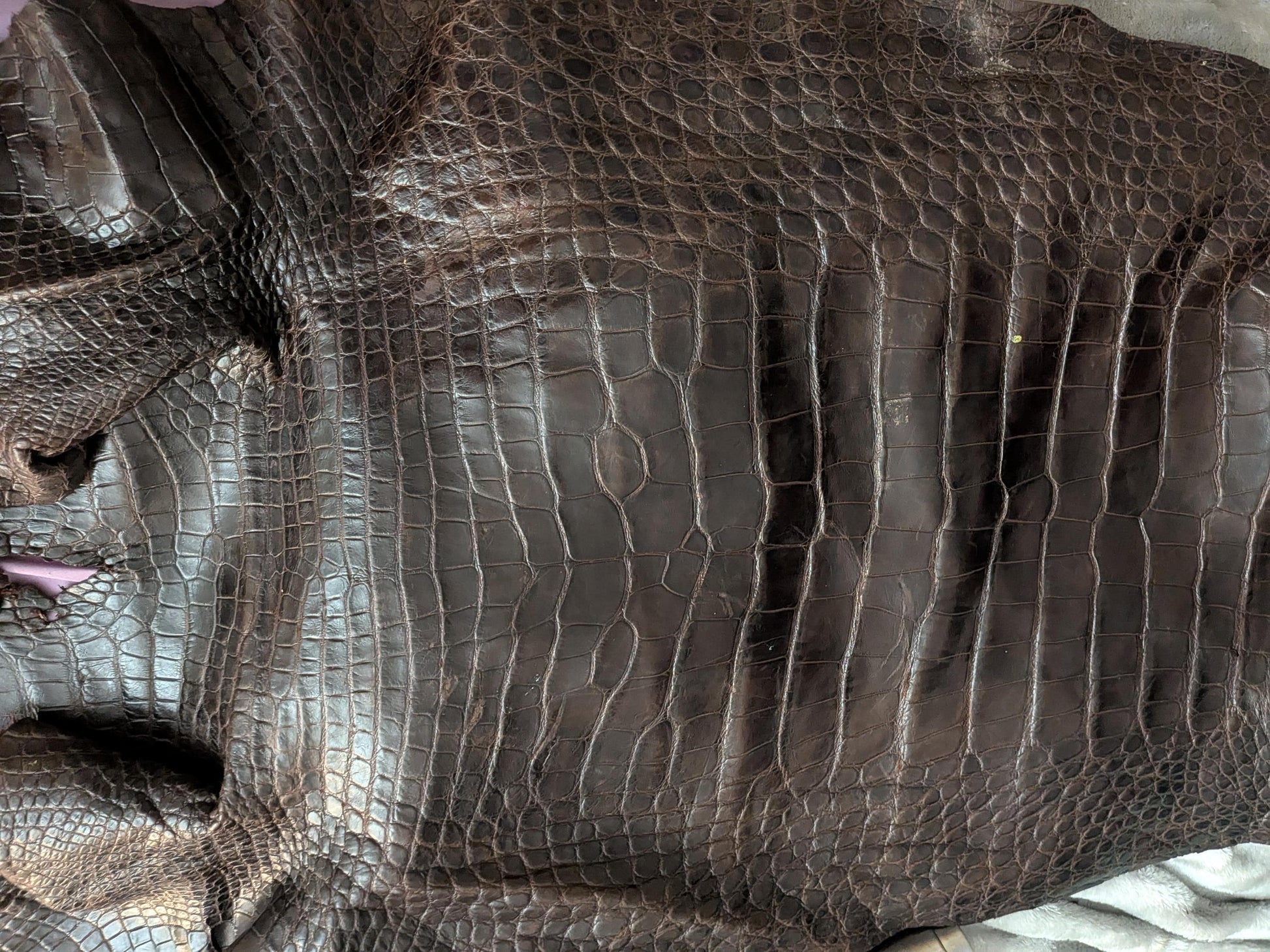 Louisiana Alligator Leather Wallet | Handmade Unisex Exotic Wallet