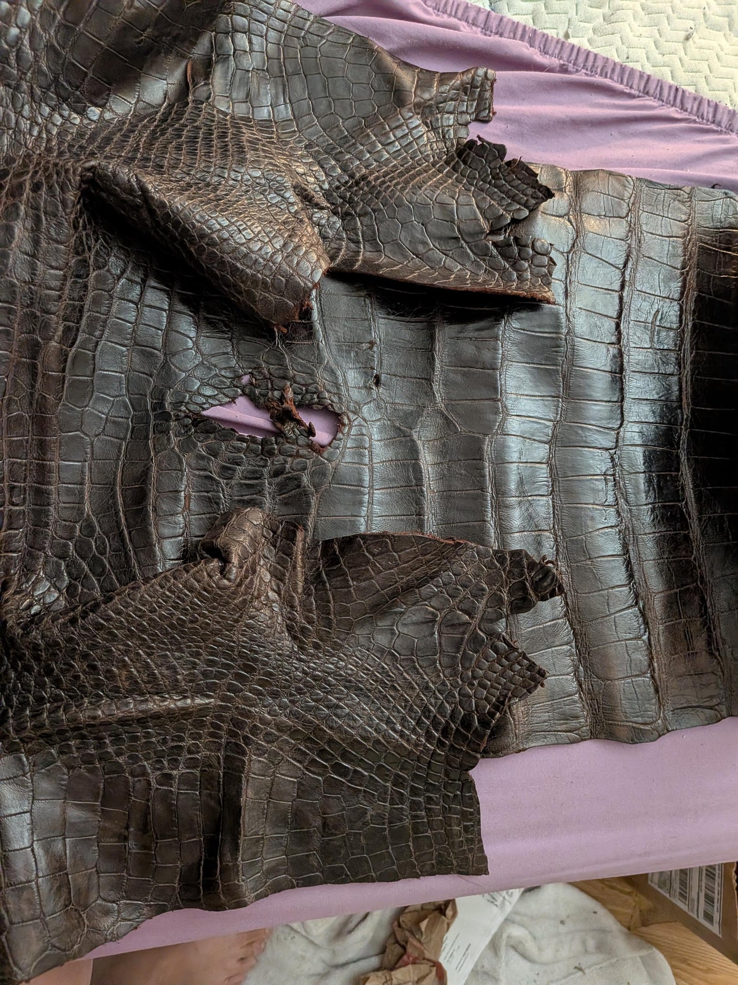 Louisiana Alligator Leather Wallet | Handmade Unisex Exotic Wallet