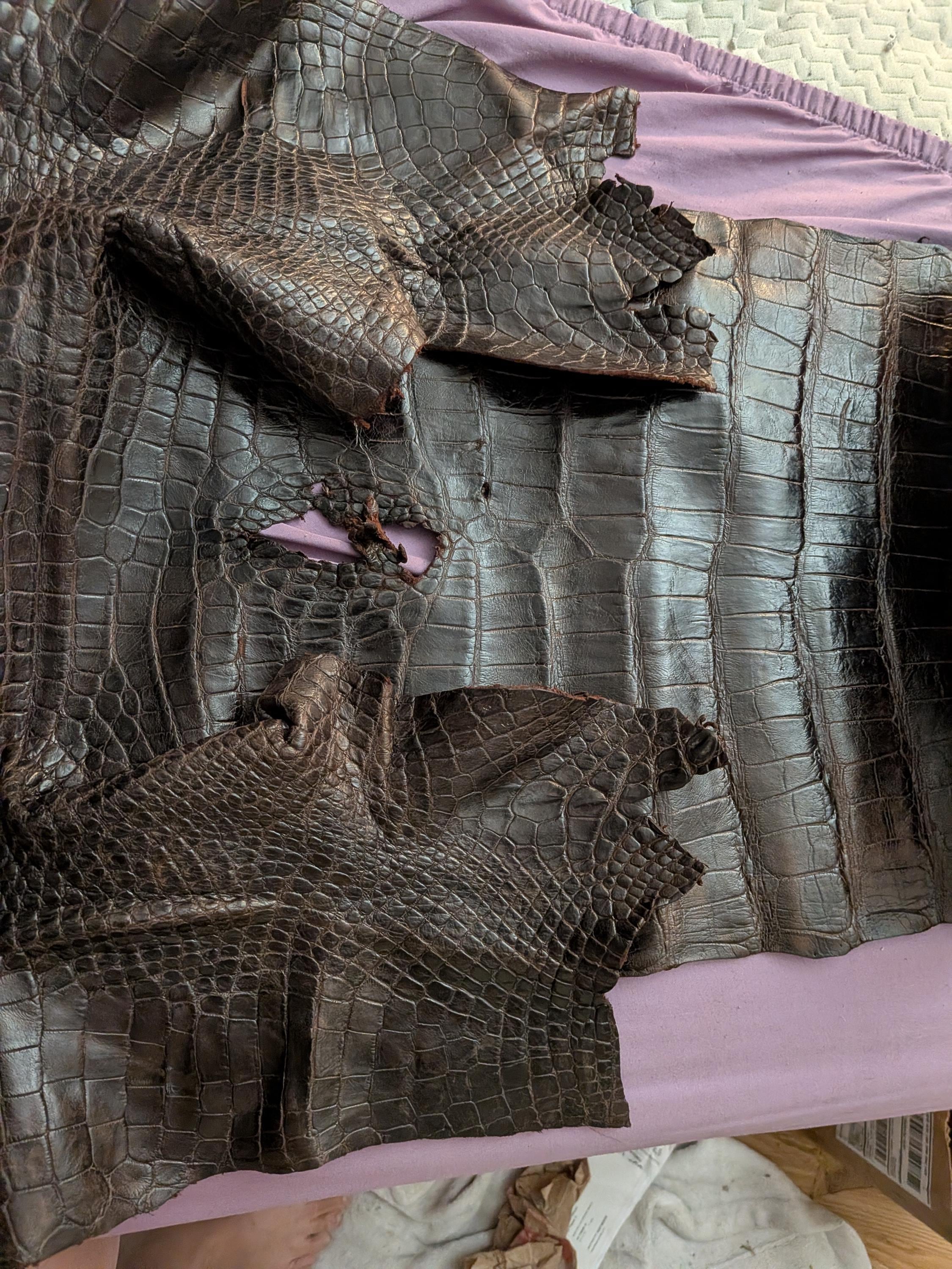 May include: Close-up of dark brown Louisiana alligator leather with a textured, scaly pattern. The leather has a rich, glossy finish and visible imperfections, including a tear revealing a pink fabric underneath. The image showcases the natural texture and color variations of the material.