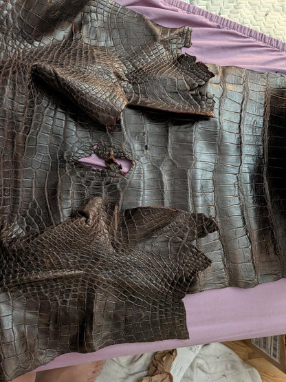 Louisiana Alligator Leather Wallet | Handmade Unisex Exotic Wallet