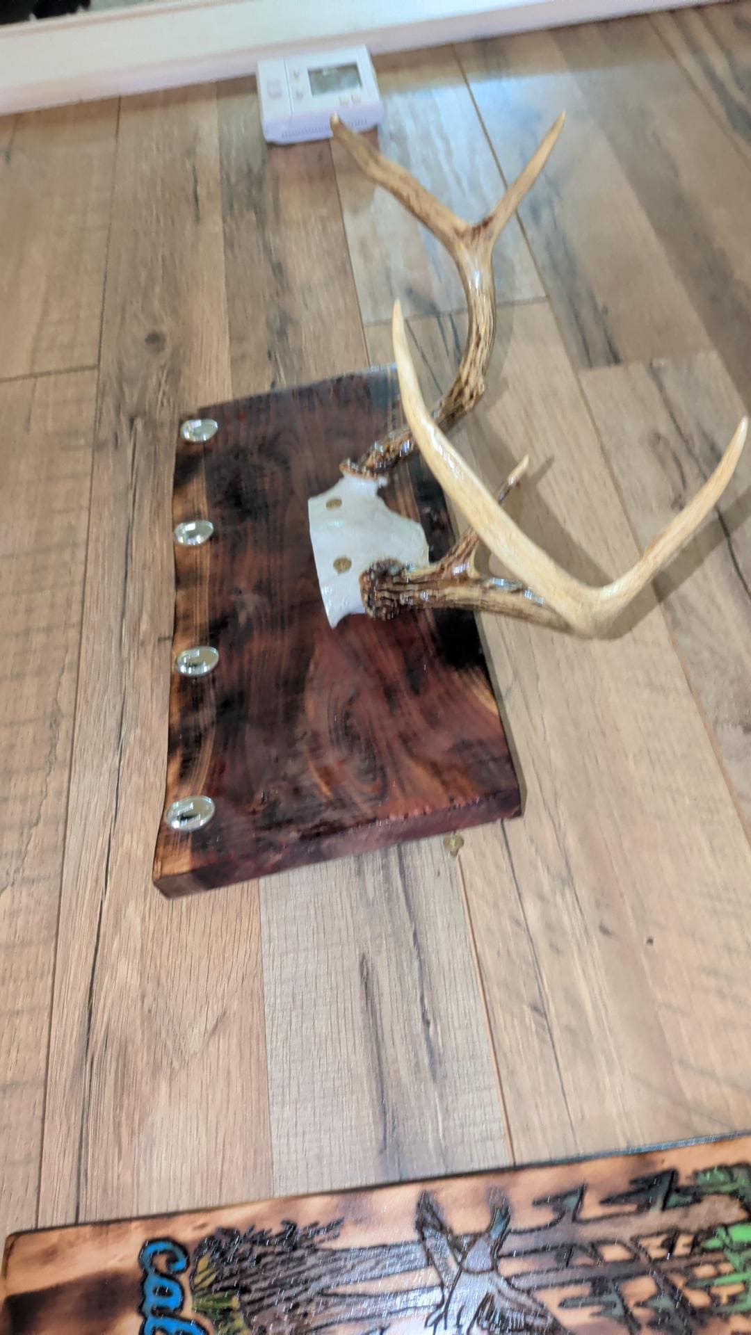 Real Deer Antler Wall Rack | Red Cedar Wood Coat Hooks | Rustic Cabin Decor