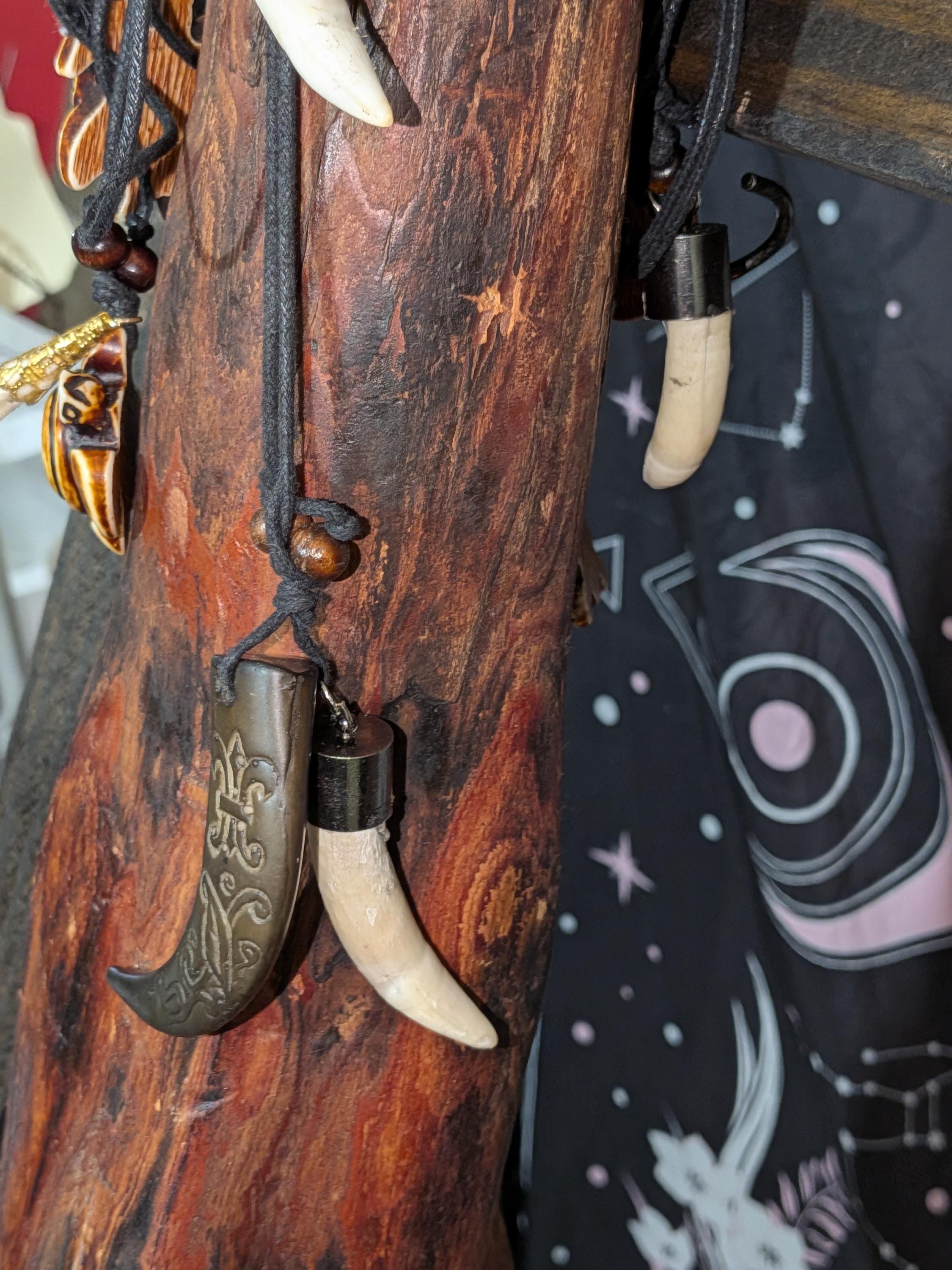 Authentic Alligator Tooth Carved Wooden Turtle Necklace | Cajun Bayou Talisman Protection Amulet