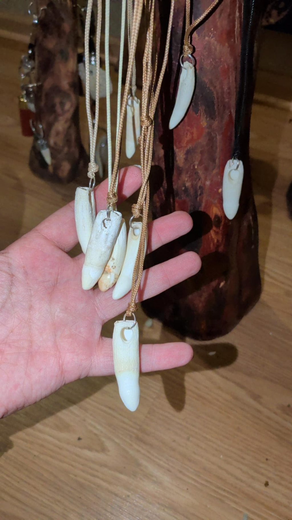 Genuine Alligator Tooth Necklace, Drilled Pendant, Earth Tone Cord, Louisiana Wildlife Choker