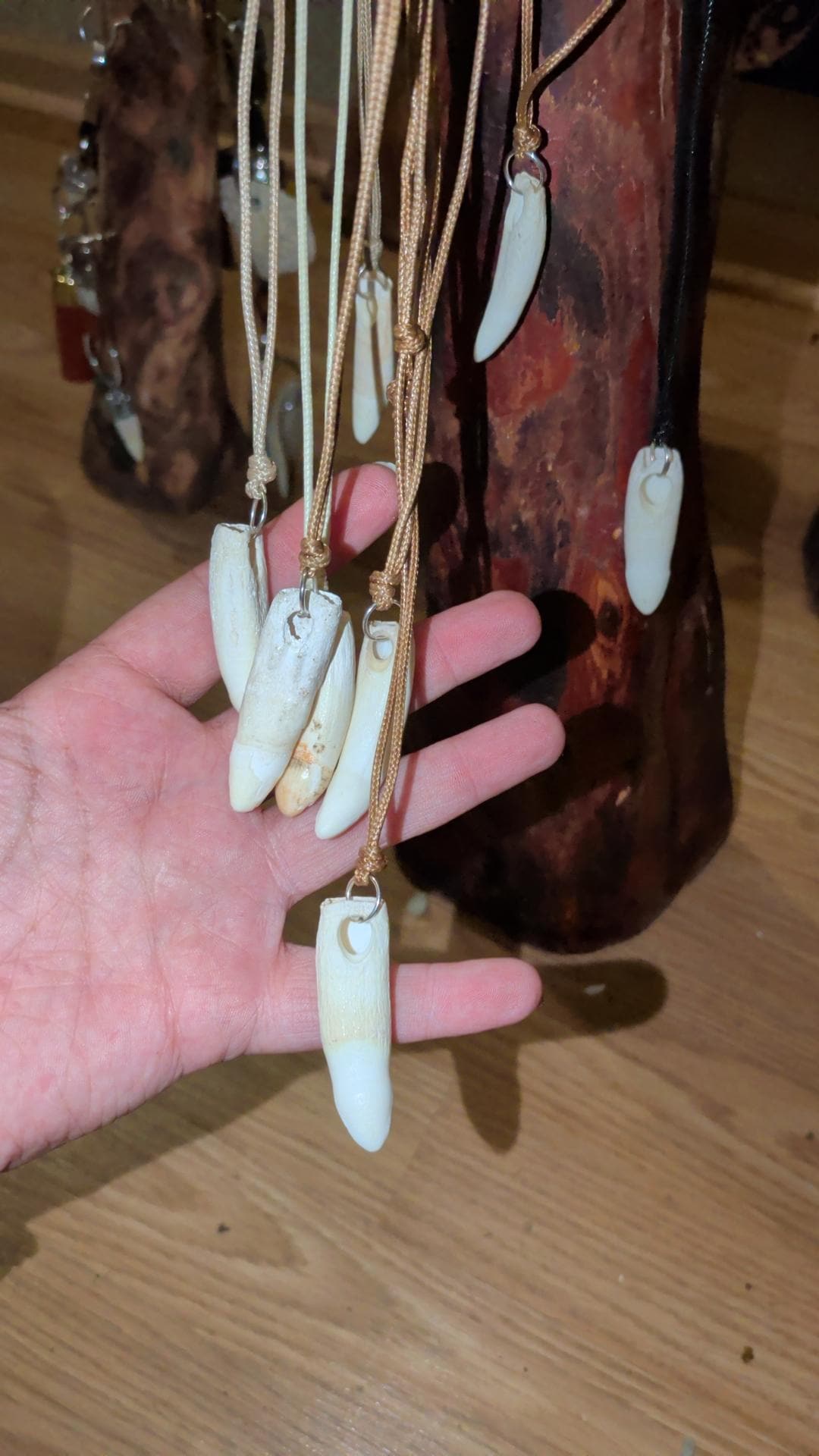Genuine Alligator Tooth Necklace, Drilled Pendant, Earth Tone Cord, Louisiana Wildlife Choker