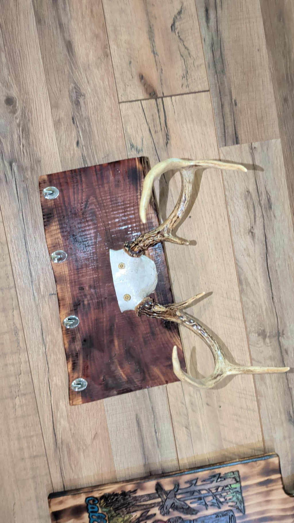 Real Deer Antler Wall Rack | Red Cedar Wood Coat Hooks | Rustic Cabin Decor