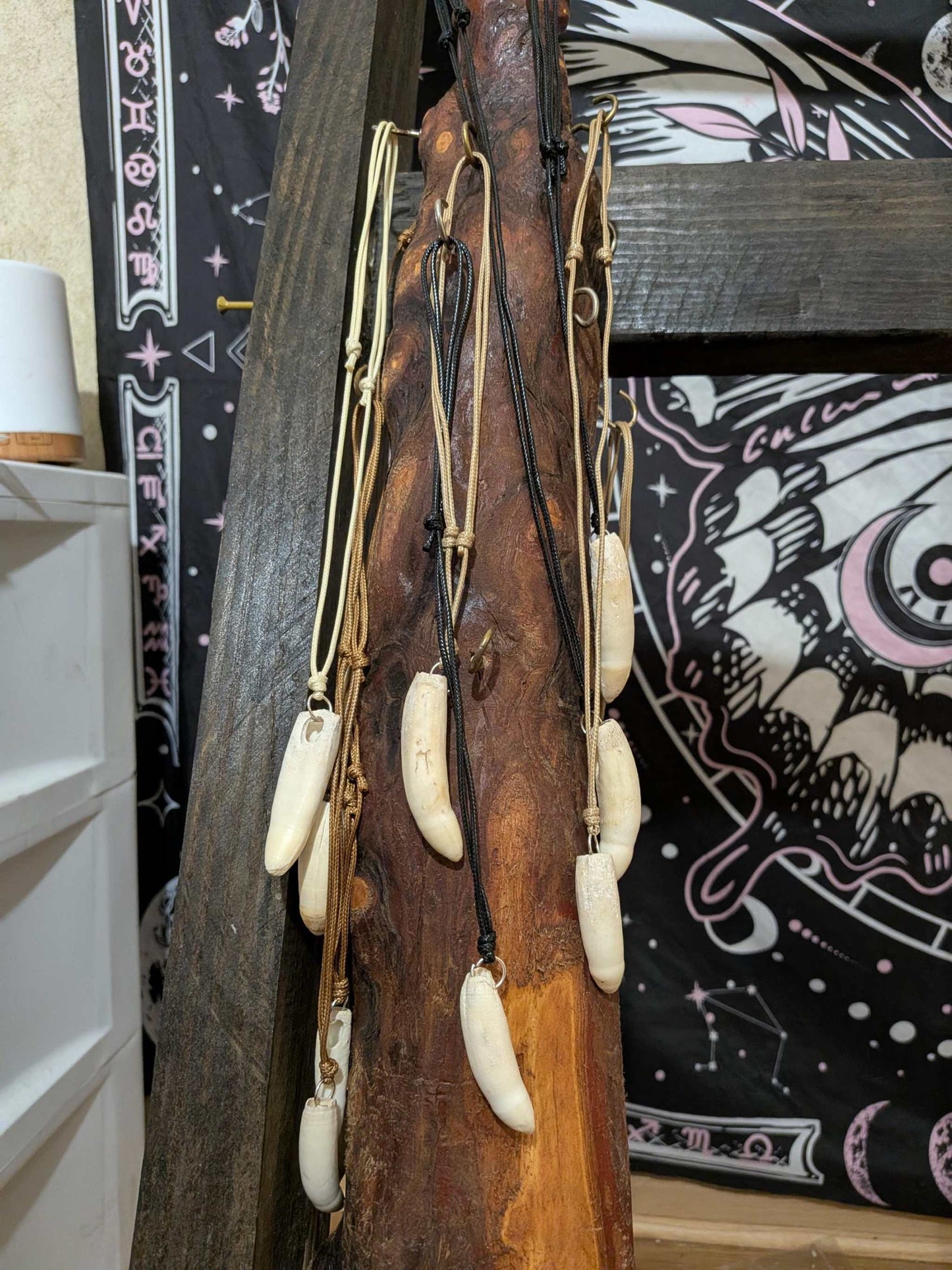 Rustic Cypress Knee Jewelry Display | Natural Wood Organizer