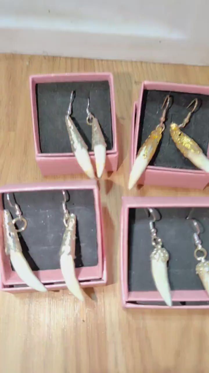 Genuine Alligator Tooth Earrings, Taxidermy Jewelry, Edgy Boho Accessories