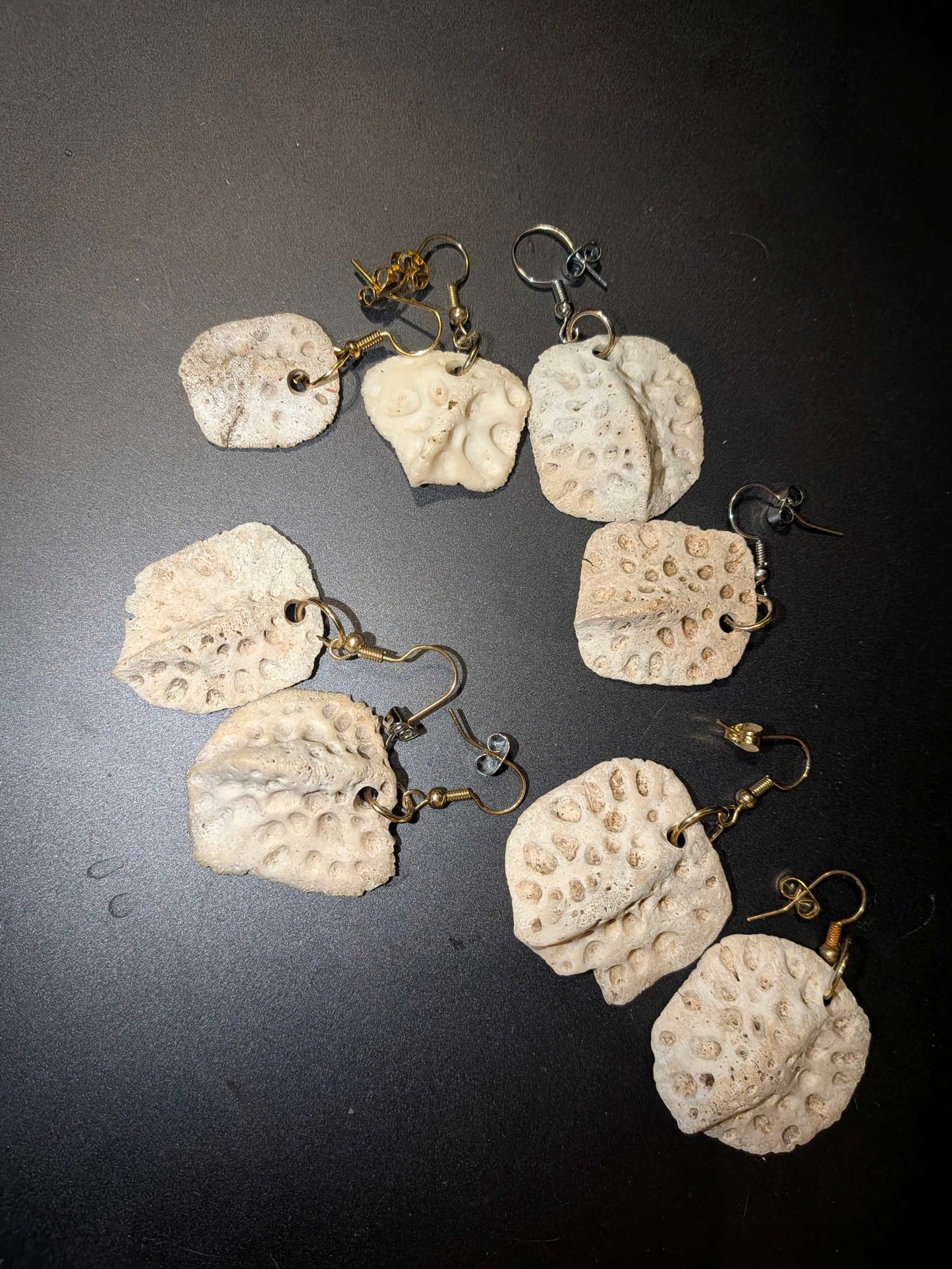 Natural Alligator Backbone Earrings |Rustic Southern Bone Jewelry Bone