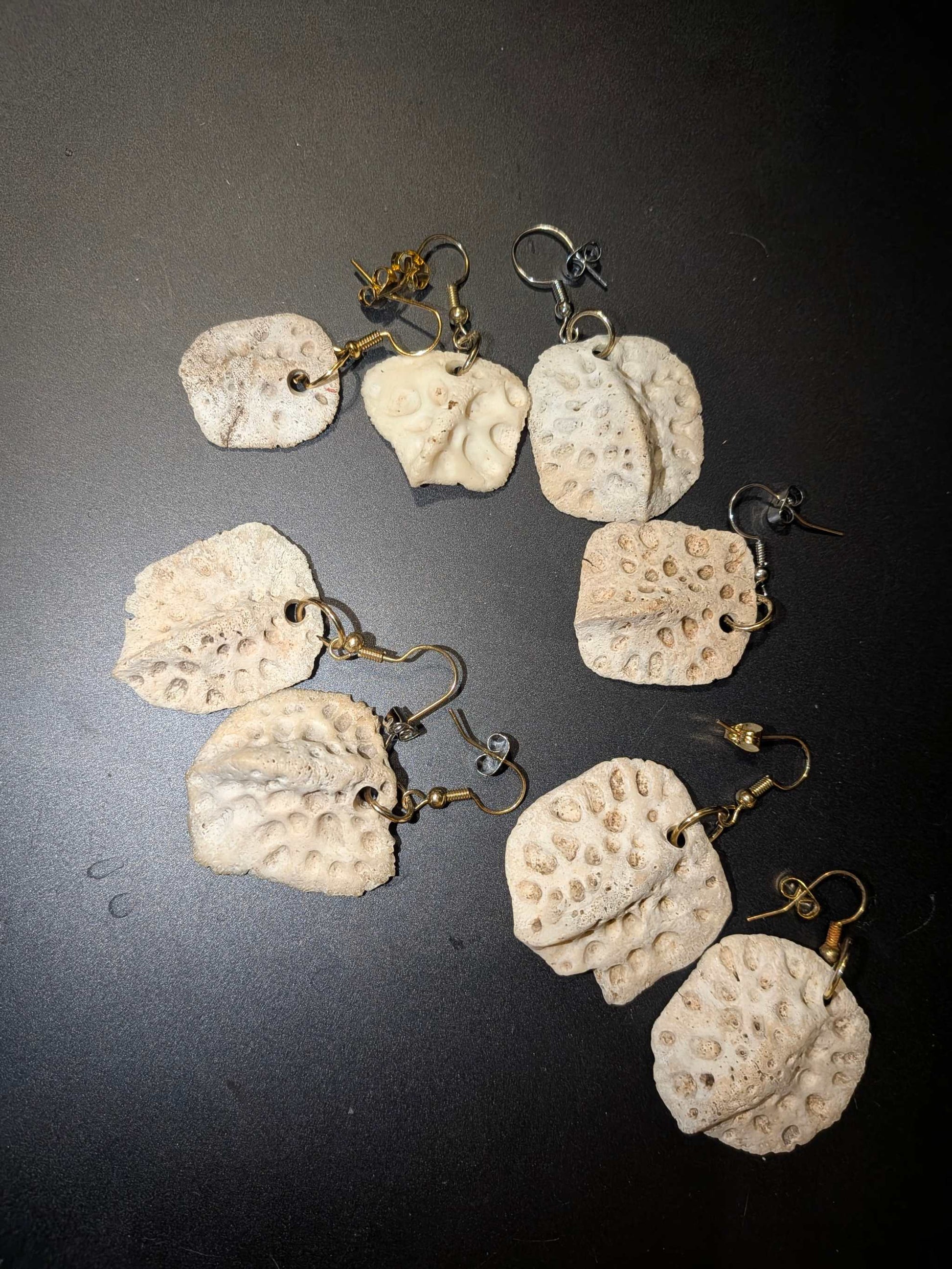 Natural Alligator Backbone Earrings |Rustic Southern Bone Jewelry Bone