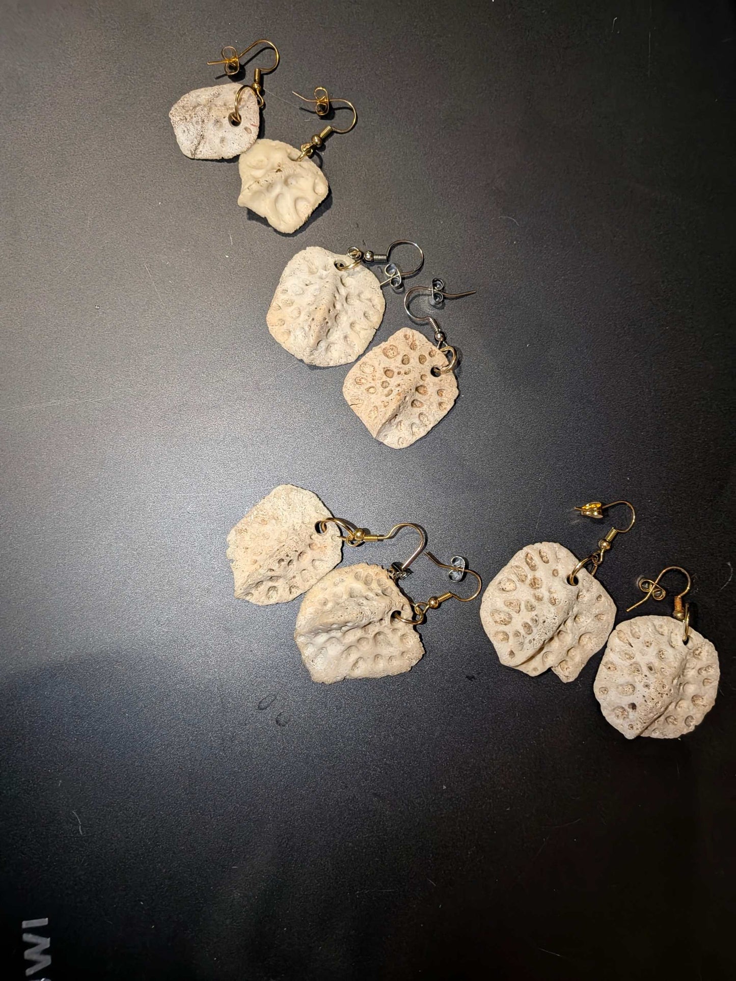 Natural Alligator Backbone Earrings |Rustic Southern Bone Jewelry Bone
