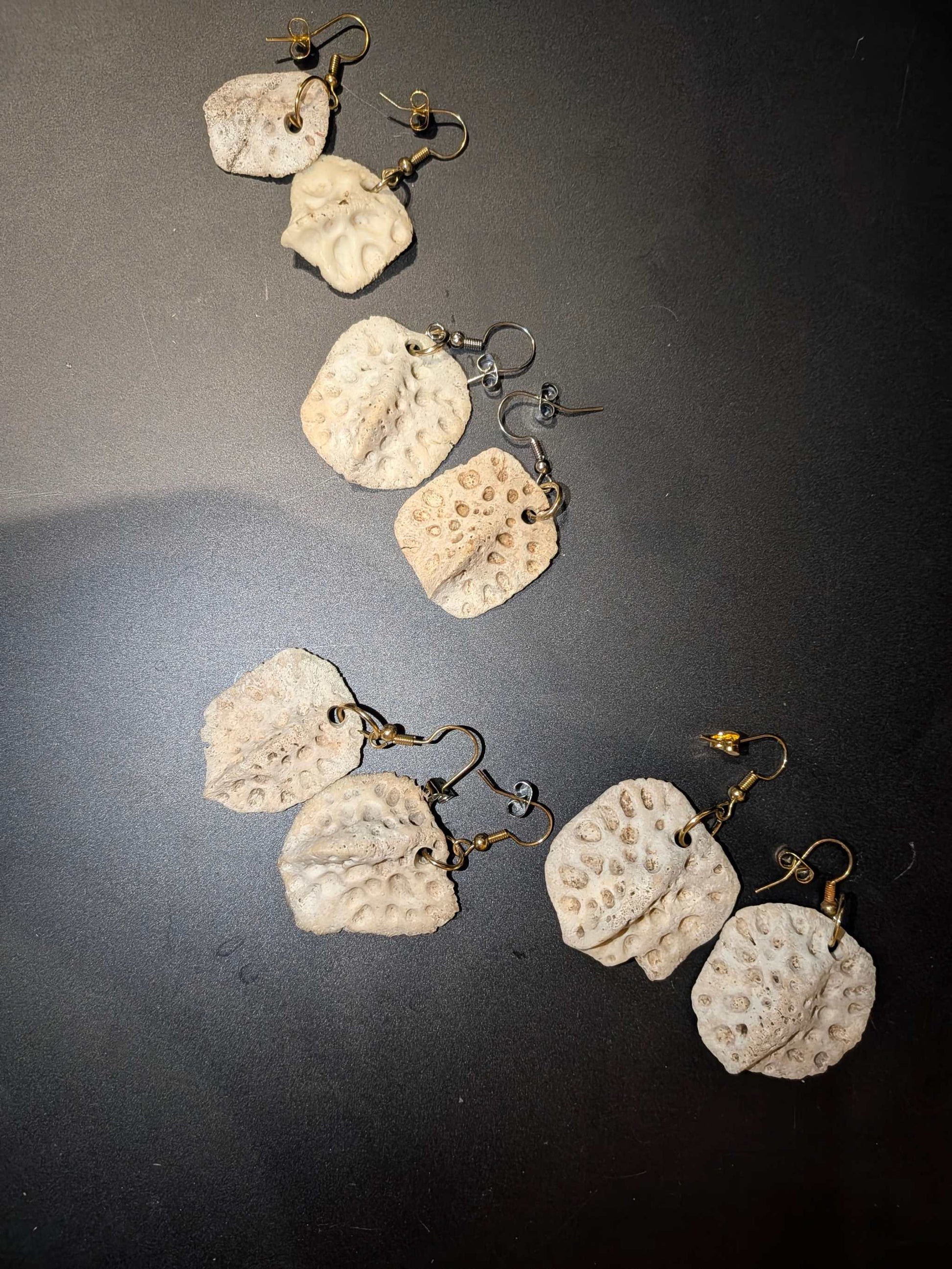 Natural Alligator Backbone Earrings |Rustic Southern Bone Jewelry Bone